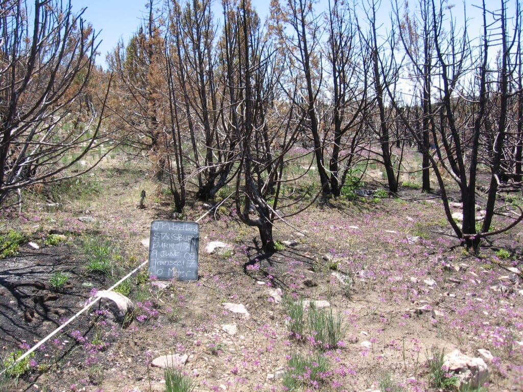 2008: 1 year post-treatment