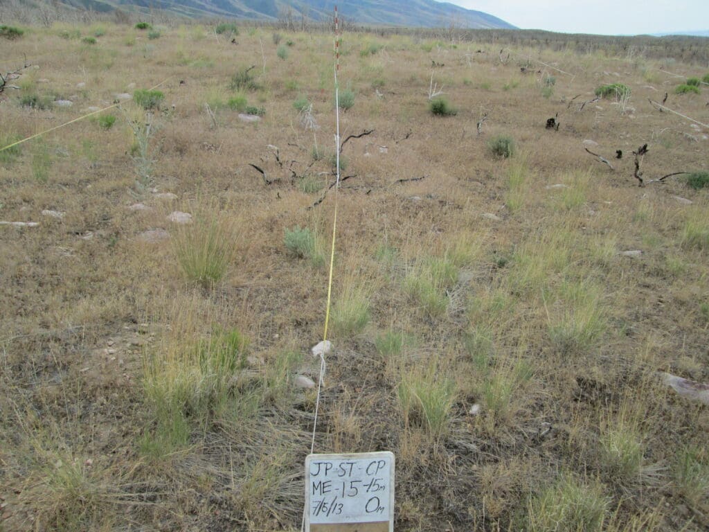 2013: 6 years post-treatment <br / >
4 years post-wildfire