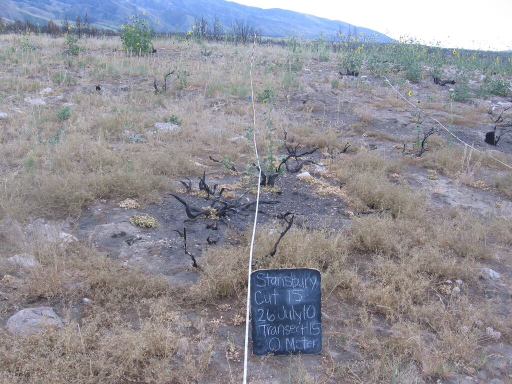 2010: 3 years post-treatment <br / >
1 year post-wildfire