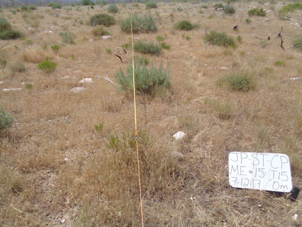 2017: 10 years post-treatment <br / >
8 years post-wildfire