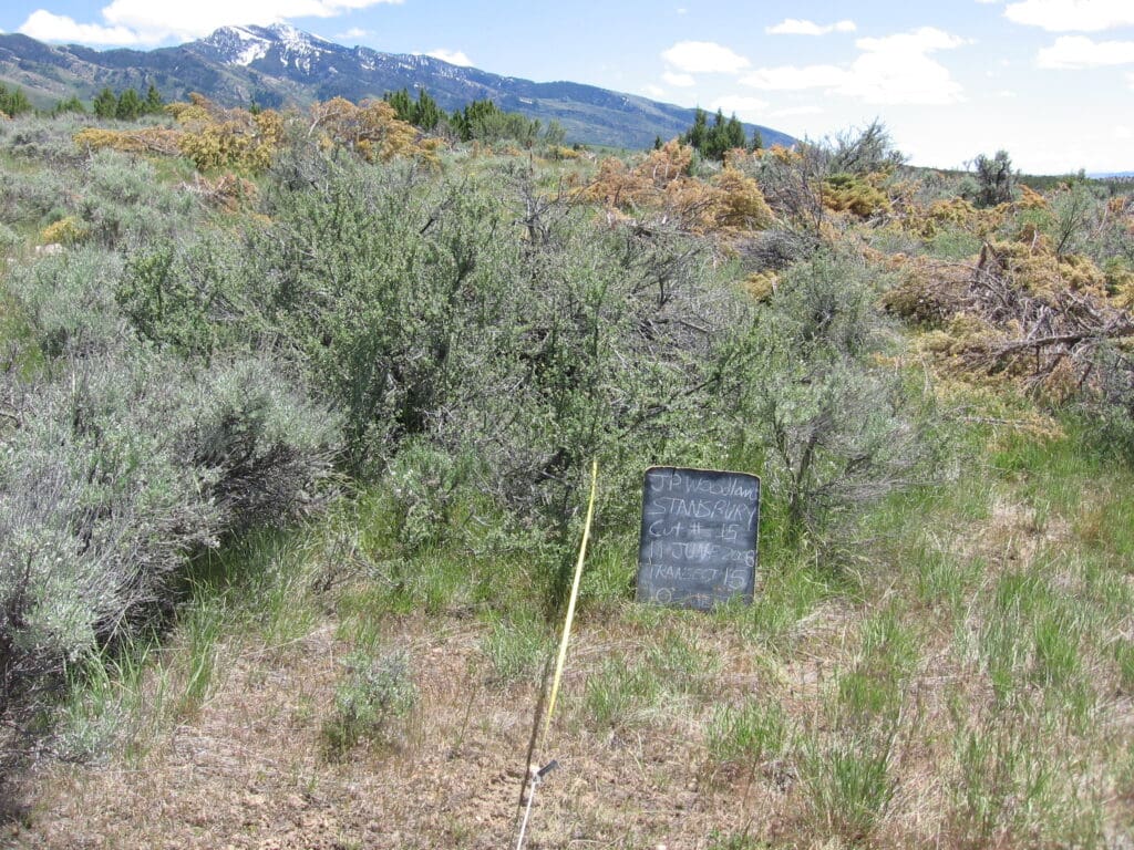 2008: 1 year post-treatment