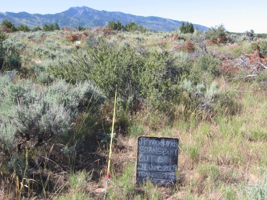 2009: 2 years post-treatment