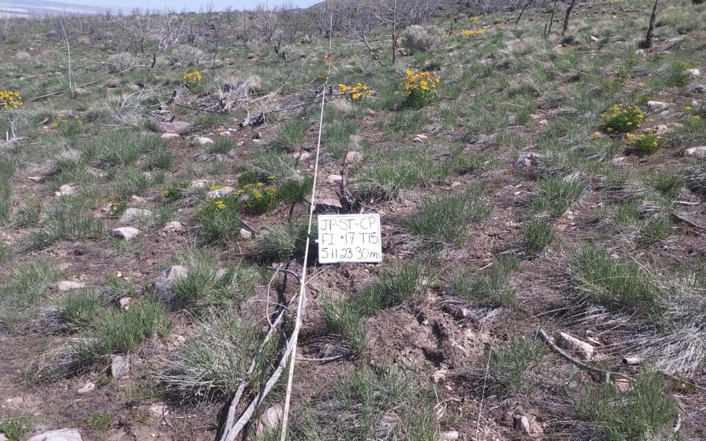 2023: 16 years post-treatment <br />
14 years post-wildfire