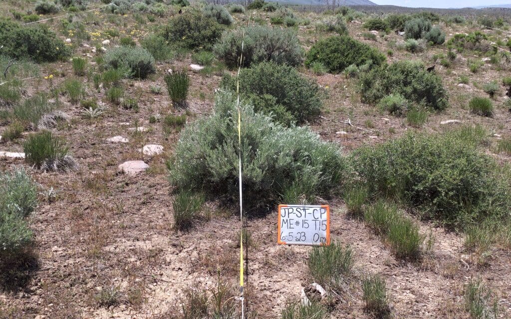 2023: 16 years post-treatment <br / >
14 years post-wildfire