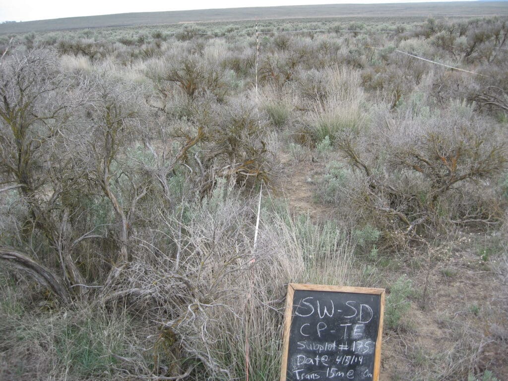 2014: 6 years post-treatment