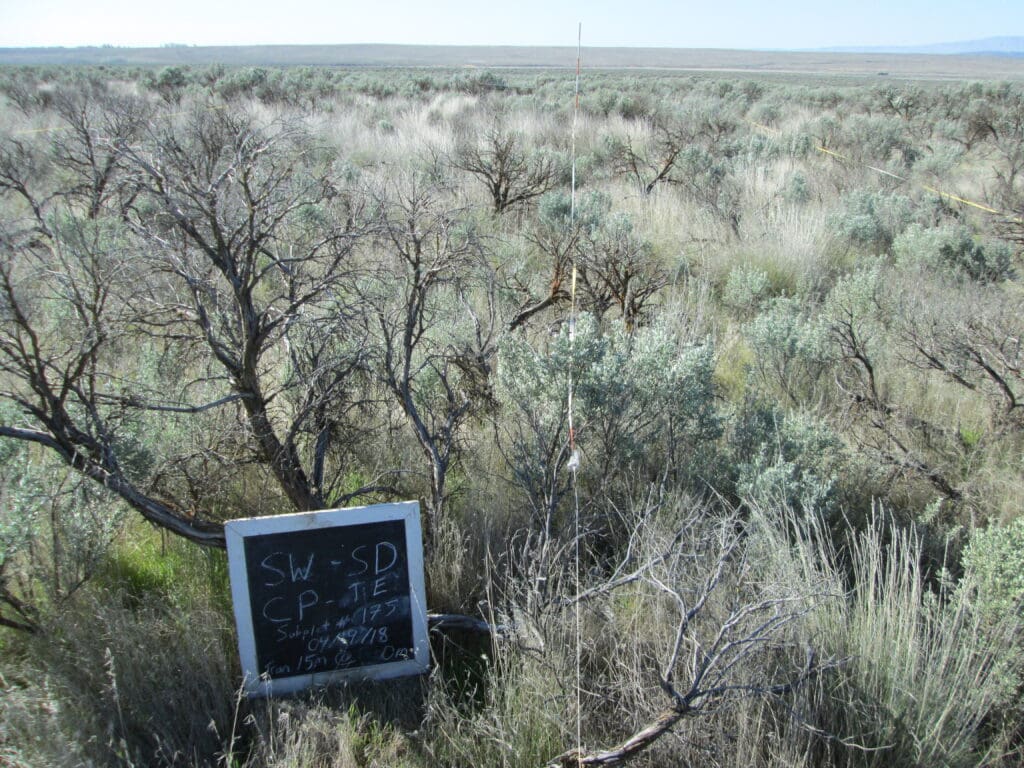 2018: 10 years post-treatment