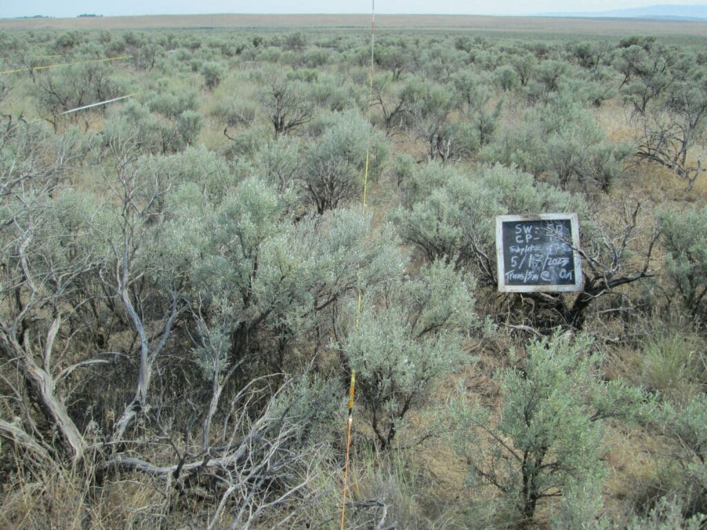 2023: 15 years post-treatment