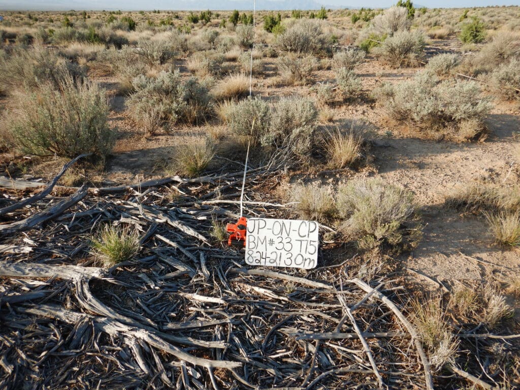 2021: 15 years post-treatment