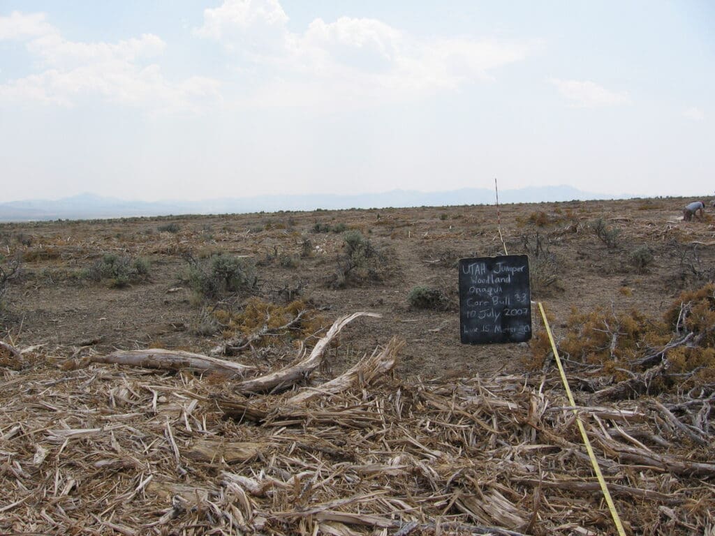 2007: 1 year post-treatment