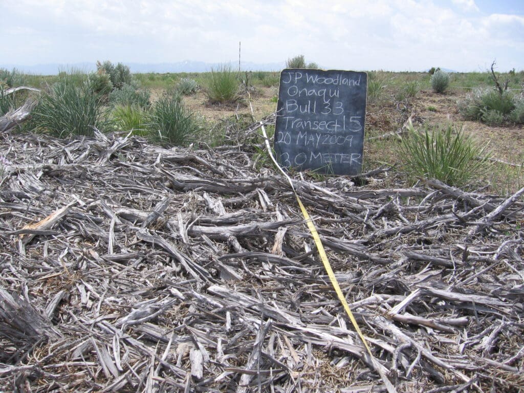 2009: 3 years post-treatment