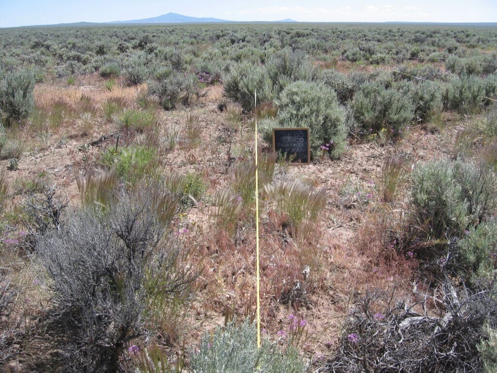 2010: 2 years post-treatment