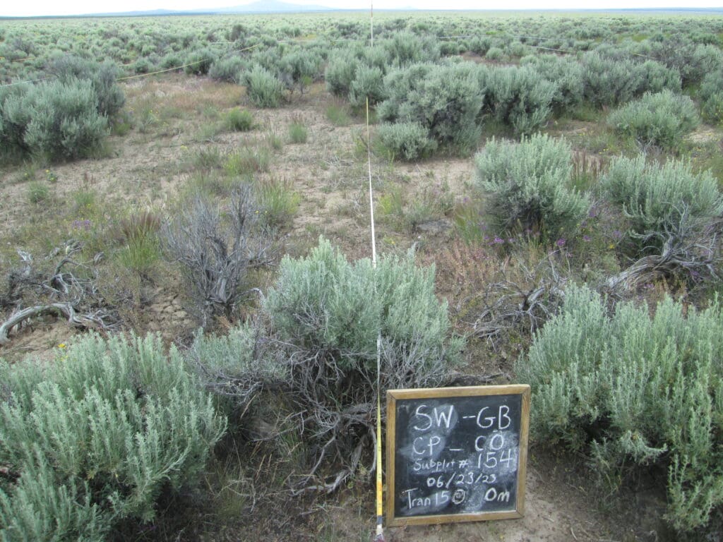 2023: 15 years post-treatment