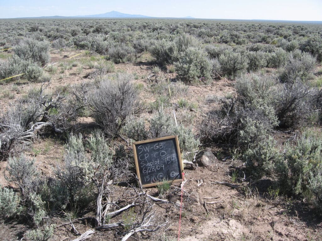 2009: 1 year post-treatment