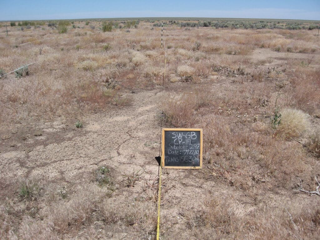 2010: 2 years post-treatment