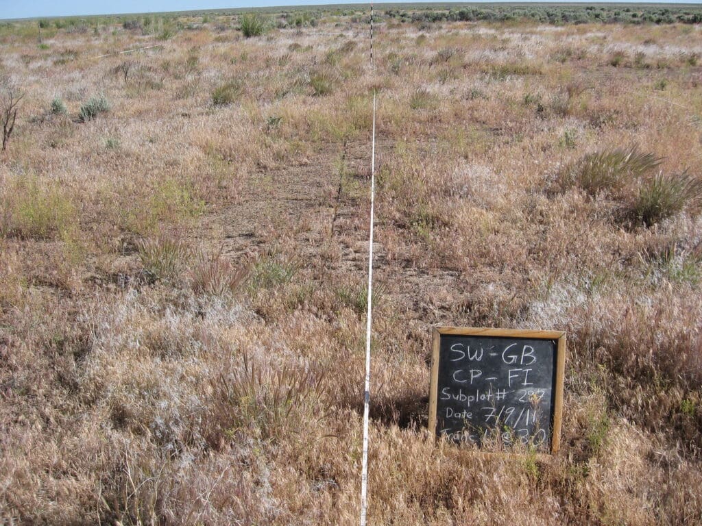 2011: 3 years post-treatment