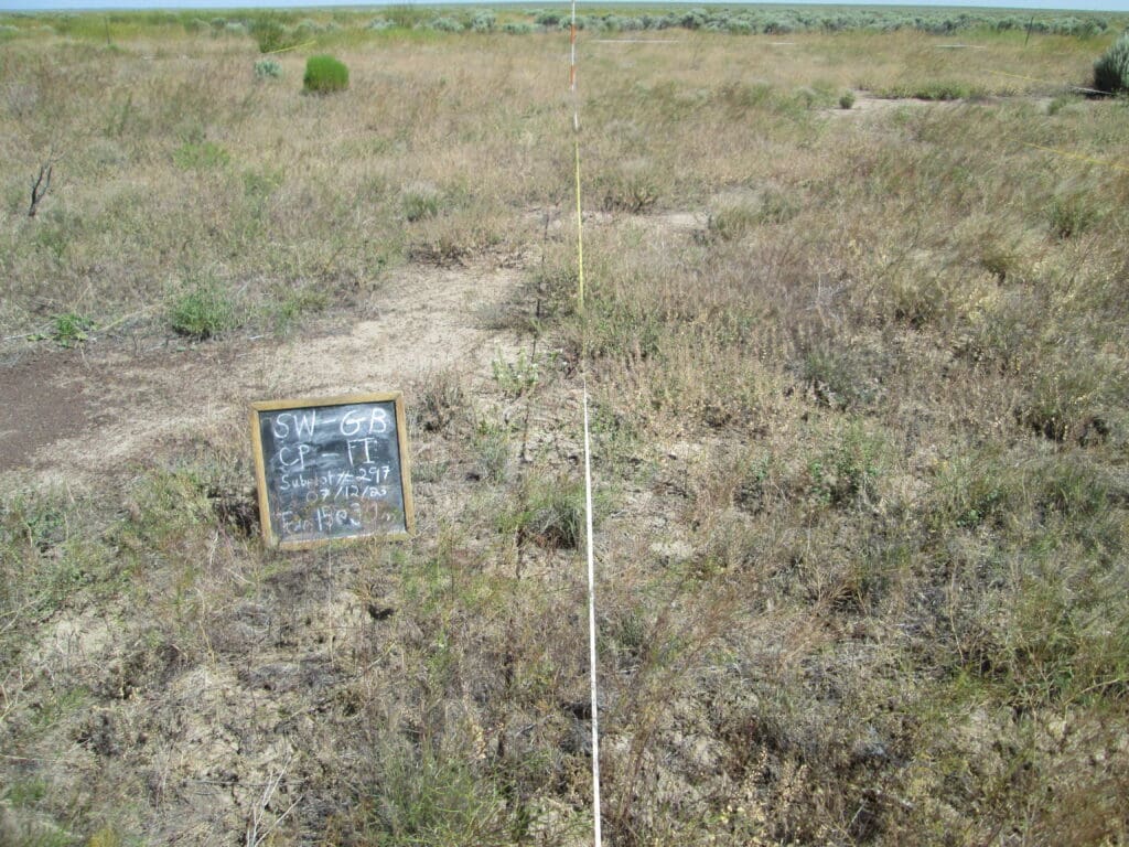 2023: 15 years post-treatment