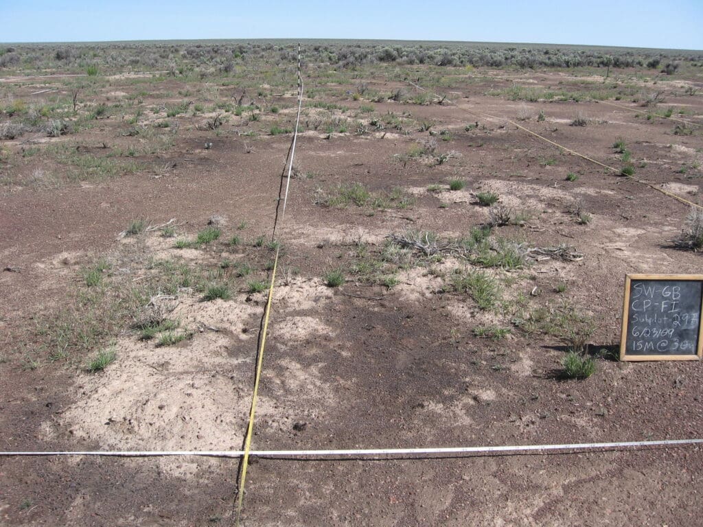 2009: 1 year post-treatment