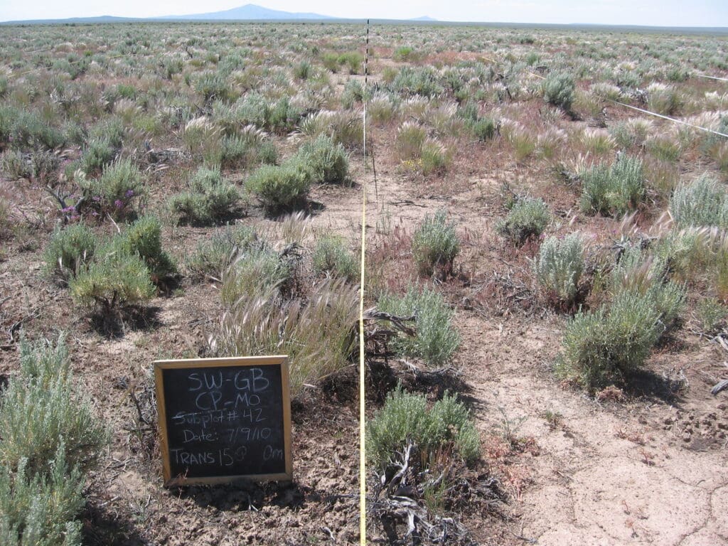 2010: 2 years post-treatment