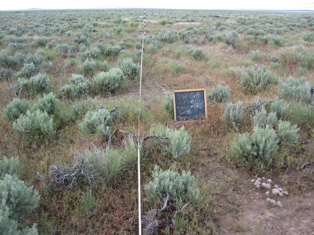 2011: 3 years post-treatment