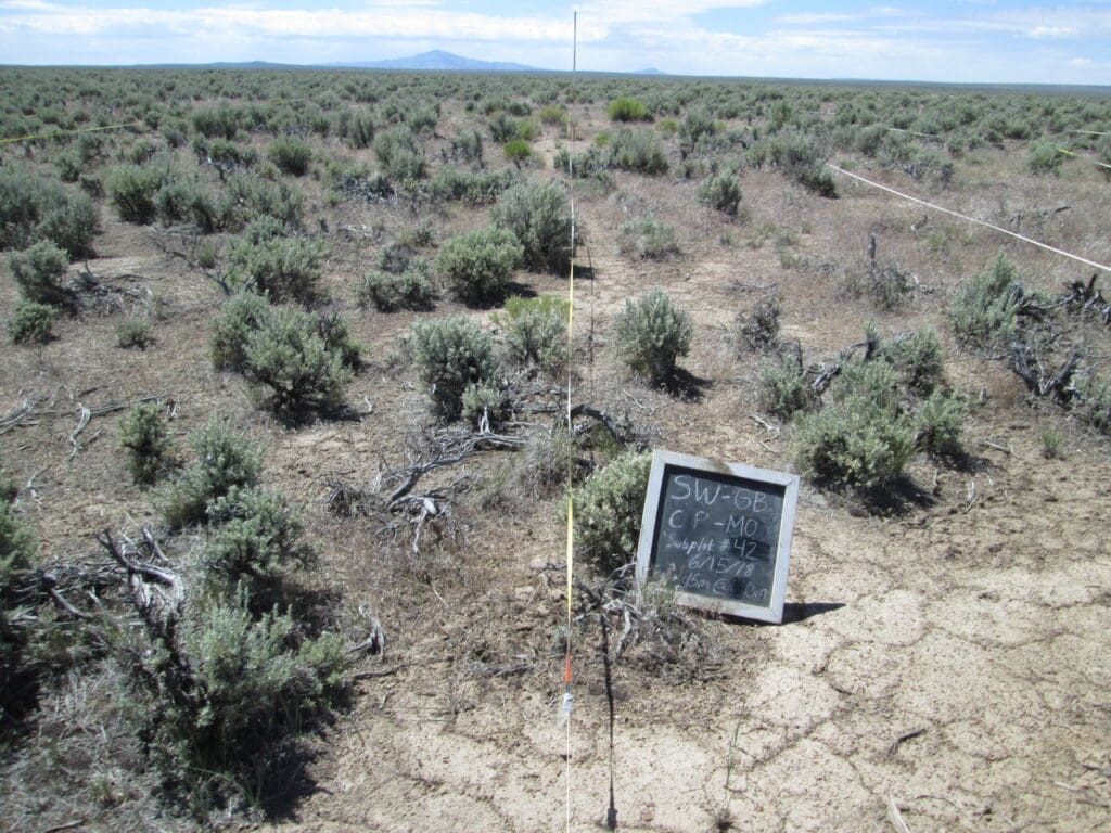 2018: 10 years post-treatment