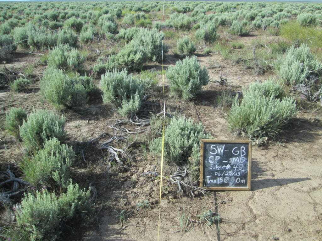 2023: 15 years post-treatment