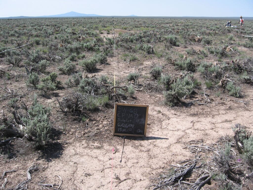 2009: 1 year post-treatment