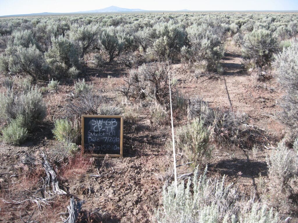 2010: 2 years post-treatment 