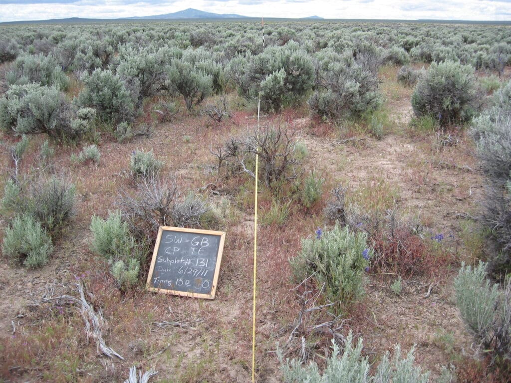 2011: 3 years post-treatment 