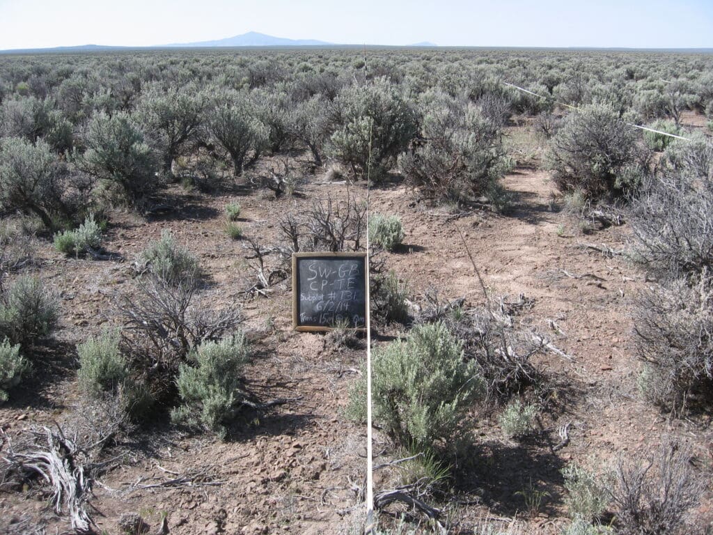 2014: 6 years post-treatment 