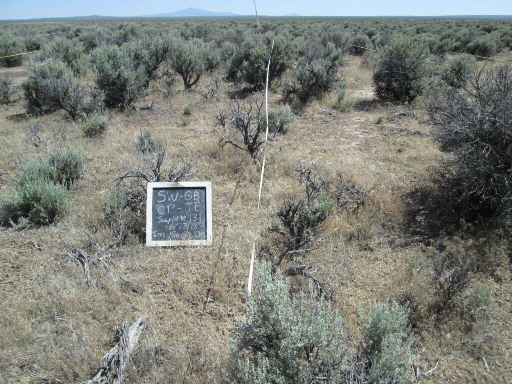 2018: 10 years post-treatment 