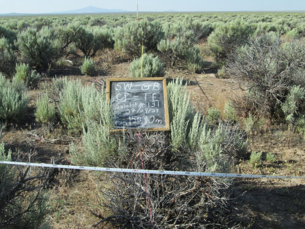 2023: 15 years post-treatment 