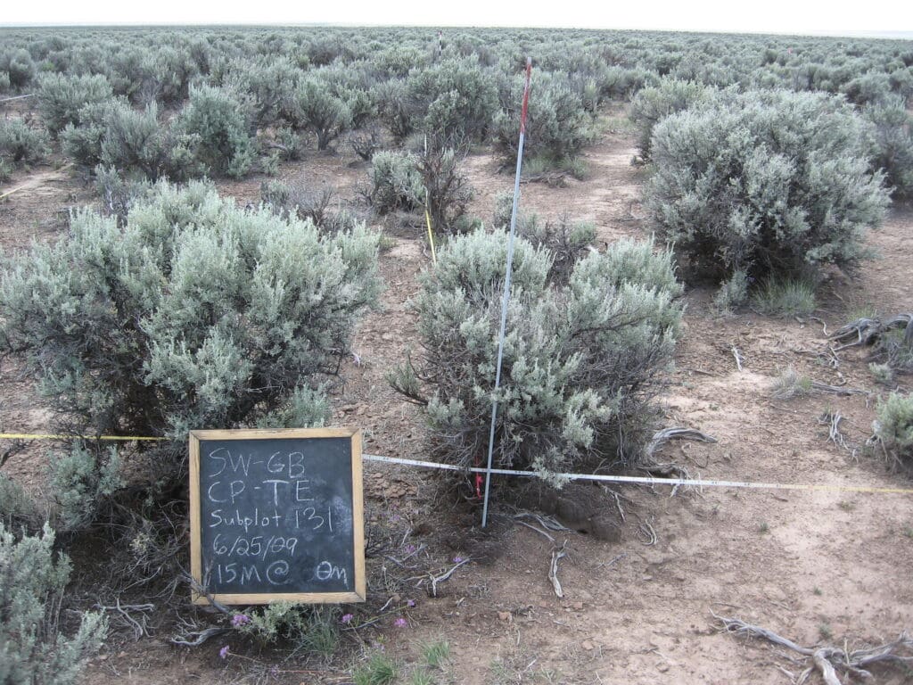 2009: 1 year post-treatment