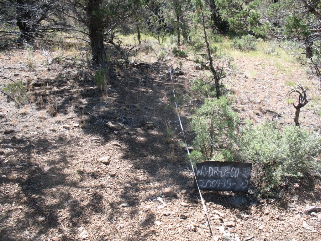 2009: 2 years post-treatment