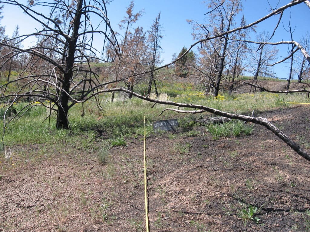 2009: 2 years post-treatment