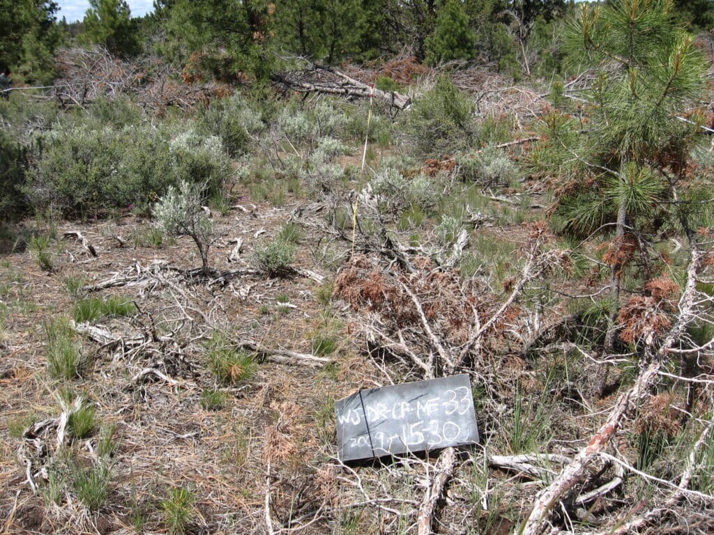 2009: 2 years post-treatment