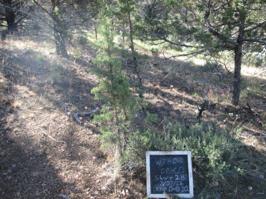 2022: 15 years post-treatment