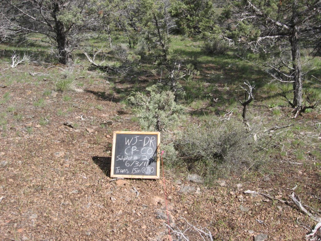 2011: 4 years post-treatment