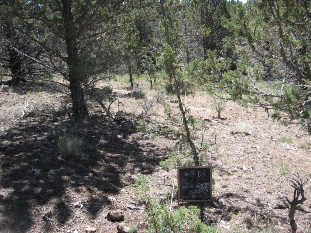 2013: 6 years post-treatment