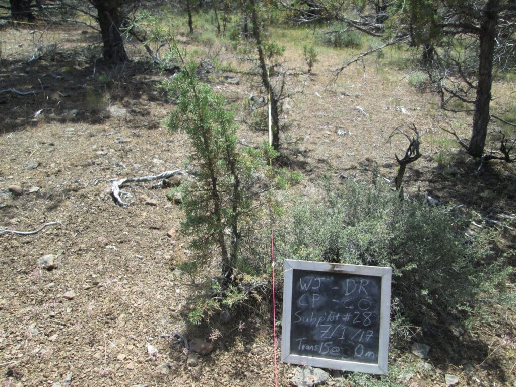 2017: 10 years post-treatment