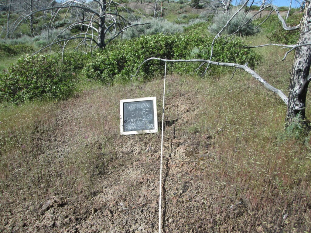 2022: 15 years post-treatment