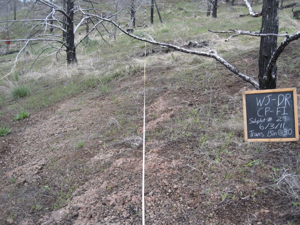 2011: 4 years post-treatment