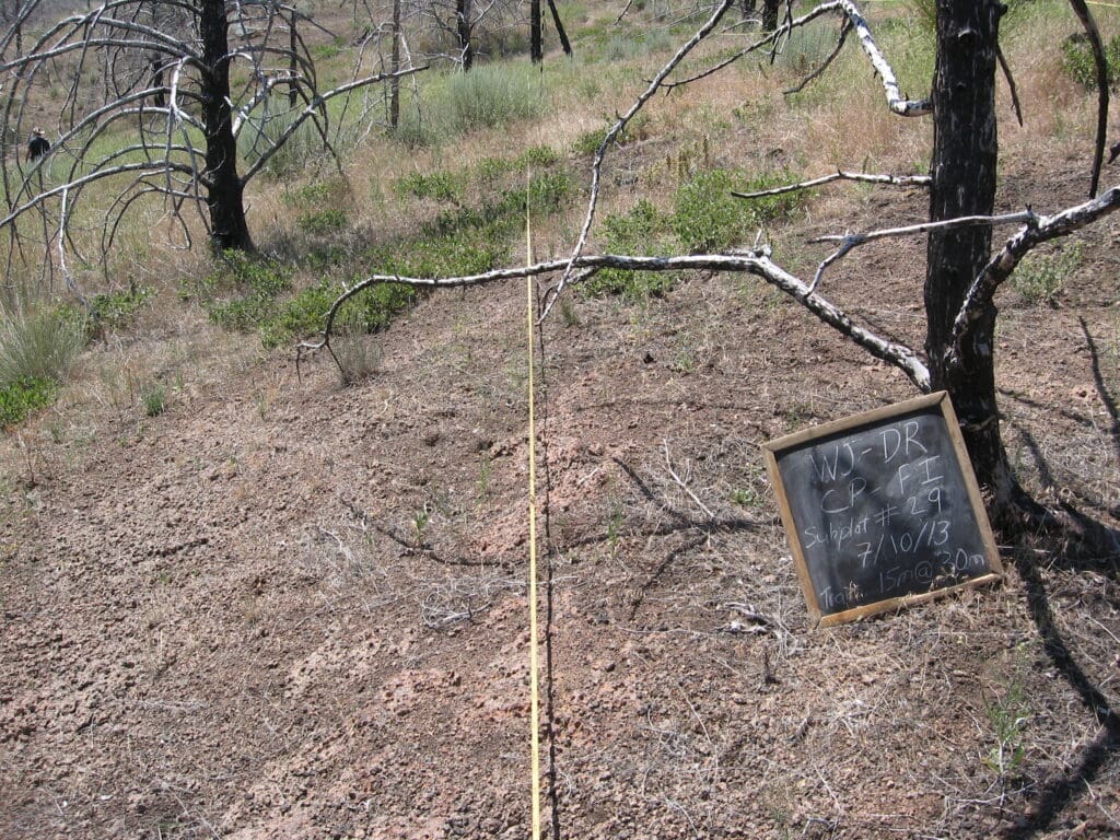 2013: 6 years post-treatment