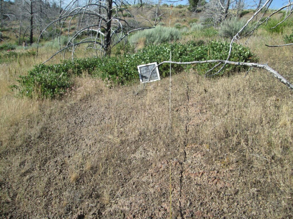 2017: 10 years post-treatment