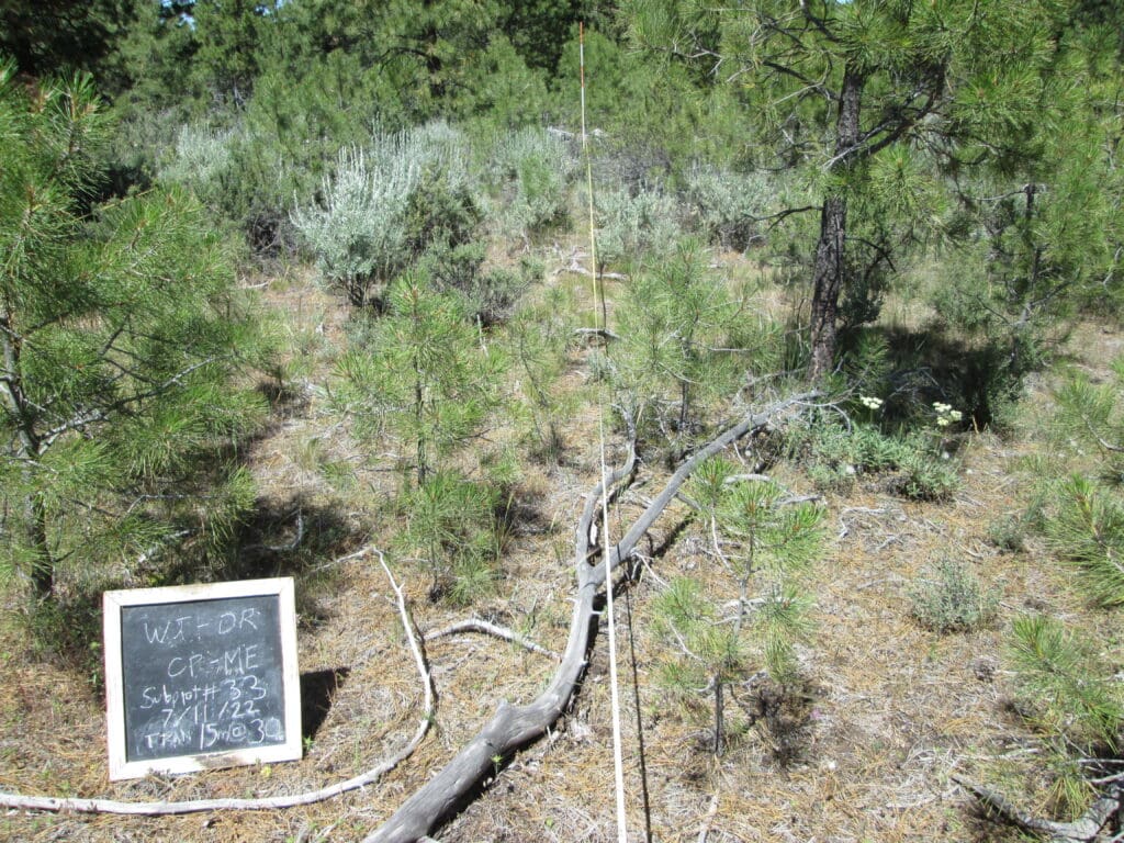 2022: 15 years post-treatment