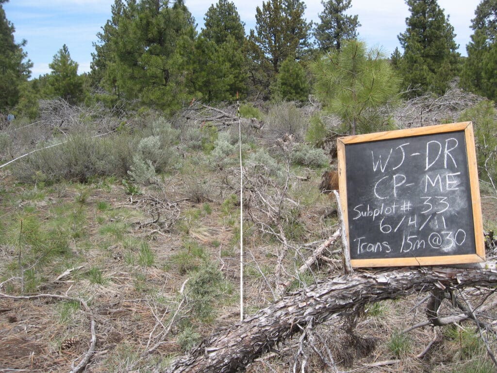 2011: 4 years post-treatment