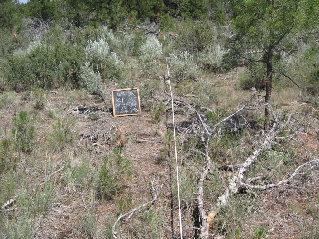 2013: 6 years post-treatment