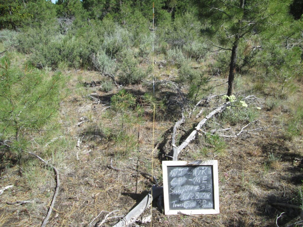 2017: 10 years post-treatment