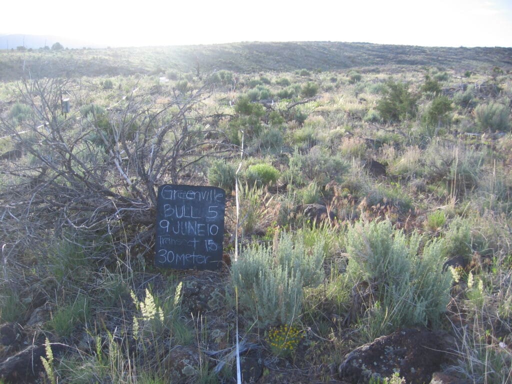 2010: 3 years post-treatment