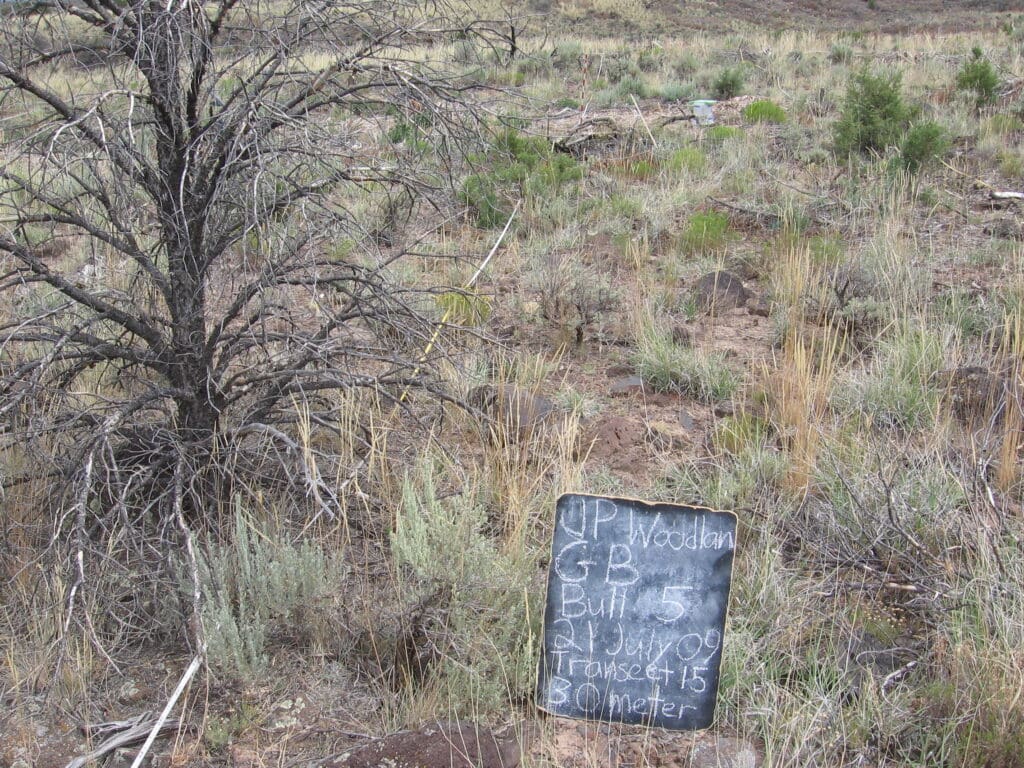 2009: 2 years post-treatment