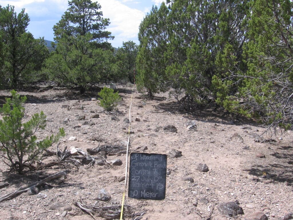 2009: 2 years post-treatment